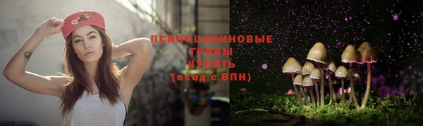 скорость Кинешма