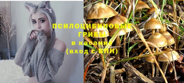 винт Киренск