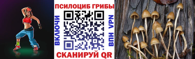 Купить где  Богданович  Псилоцибиновые грибы ЛСД 